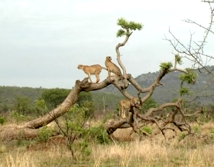 Living close to nature